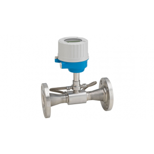 Proline Prosonic Flow E 100 Ultrasonic flowmeter